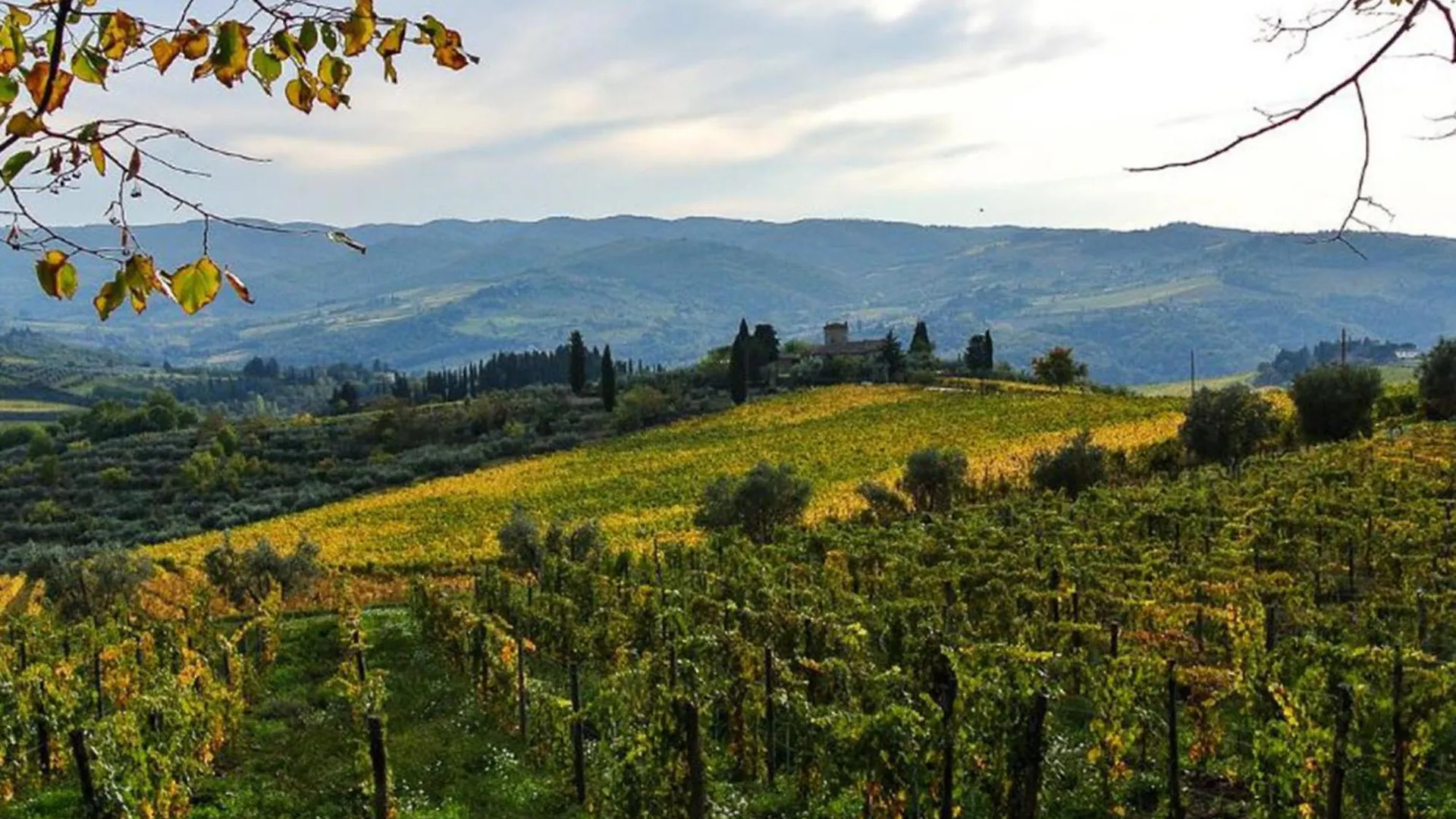 Holiday Home Borgo Castagnoli-3 By Interhome Greve in Chianti 0*,  Itálie